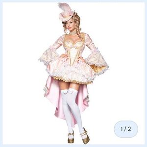Marie Antoinette Costume - InCharacter Vixen of Versailles Costume